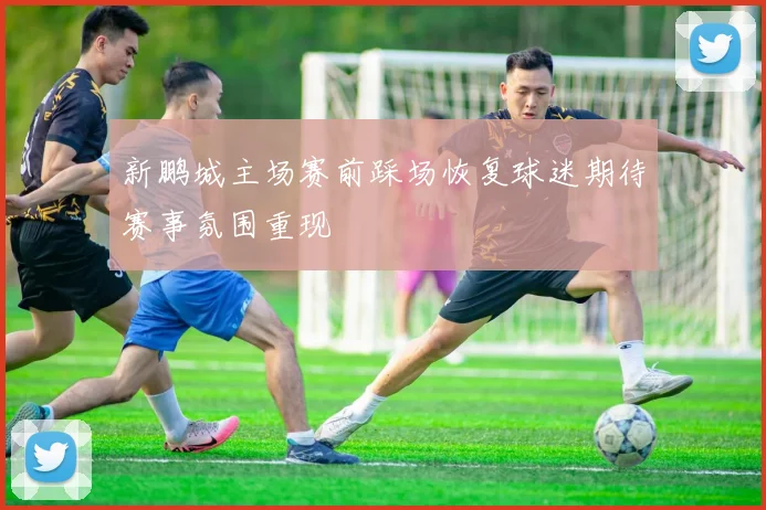 新鹏城主场赛前踩场恢复球迷期待赛事氛围重现