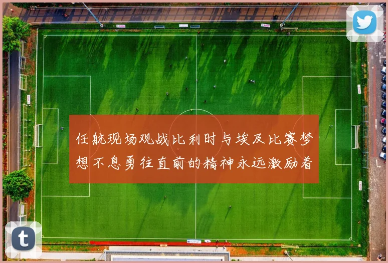 任航现场观战比利时与埃及比赛梦想不息勇往直前的精神永远激励着我们